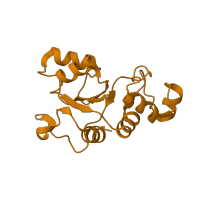 The deposited structure of PDB entry 1k8a contains 1 copy of SCOP domain 55130 (Ribosomal protein L30p/L7e) in Large ribosomal subunit protein uL30. Showing 1 copy in chain X.