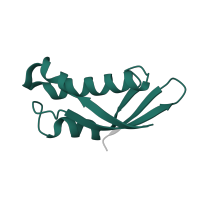 The deposited structure of PDB entry 1k8a contains 1 copy of Pfam domain PF01198 (Ribosomal protein L31e) in Large ribosomal subunit protein eL31. Showing 1 copy in chain Y.