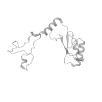 The deposited structure of PDB entry 1k8a contains 1 copy of Pfam domain PF14520 (Helix-hairpin-helix domain) in Large ribosomal subunit protein eL32. Showing 1 copy in chain Z (this domain is out of the observed residue ranges!).