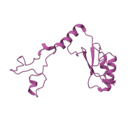 The deposited structure of PDB entry 1k8a contains 1 copy of SCOP domain 52043 (Ribosomal protein L32e) in Large ribosomal subunit protein eL32. Showing 1 copy in chain Z.