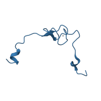 The deposited structure of PDB entry 1k8a contains 1 copy of CATH domain 2.20.25.30 (N-terminal domain of TfIIb) in Large ribosomal subunit protein eL37. Showing 1 copy in chain BA [auth 2].