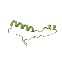 The deposited structure of PDB entry 1k8a contains 1 copy of SCOP domain 48663 (Ribosomal protein L39e) in Large ribosomal subunit protein eL39. Showing 1 copy in chain CA [auth 3].