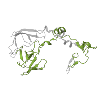 The deposited structure of PDB entry 1k8a contains 1 copy of Pfam domain PF03947 (Ribosomal Proteins L2, C-terminal domain) in Large ribosomal subunit protein uL2. Showing 1 copy in chain C.