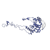 The deposited structure of PDB entry 1k8a contains 1 copy of Pfam domain PF00573 (Ribosomal protein L4/L1 family) in Large ribosomal subunit protein uL4. Showing 1 copy in chain E.
