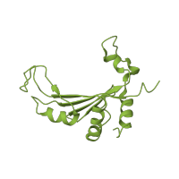 The deposited structure of PDB entry 1k8a contains 1 copy of CATH domain 3.30.1440.10 (50s Ribosomal Protein L5; Chain: A,) in Large ribosomal subunit protein uL5. Showing 1 copy in chain F.