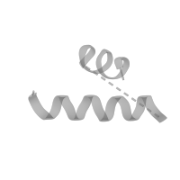 The deposited structure of PDB entry 1k8a contains 1 copy of Pfam domain PF17777 (Insertion domain in 60S ribosomal protein L10P) in Large ribosomal subunit protein uL10. Showing 1 copy in chain I (this domain is out of the observed residue ranges!).