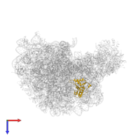 Large ribosomal subunit protein uL13 in PDB entry 1k8a, assembly 1, top view.