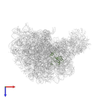 Large ribosomal subunit protein uL15 in PDB entry 1k8a, assembly 1, top view.