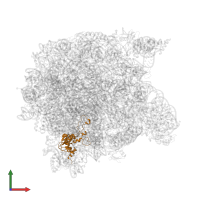 Large ribosomal subunit protein eL15 in PDB entry 1k8a, assembly 1, front view.