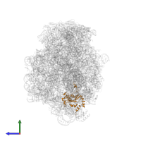 Large ribosomal subunit protein eL15 in PDB entry 1k8a, assembly 1, side view.