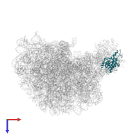 Large ribosomal subunit protein uL18 in PDB entry 1k8a, assembly 1, top view.