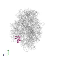 Large ribosomal subunit protein eL18 in PDB entry 1k8a, assembly 1, side view.
