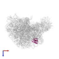 Large ribosomal subunit protein eL18 in PDB entry 1k8a, assembly 1, top view.