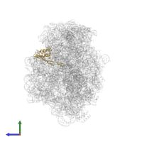 Large ribosomal subunit protein uL22 in PDB entry 1k8a, assembly 1, side view.