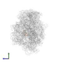 Large ribosomal subunit protein uL23 in PDB entry 1k8a, assembly 1, side view.