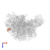 Large ribosomal subunit protein uL23 in PDB entry 1k8a, assembly 1, top view.