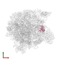 Large ribosomal subunit protein uL30 in PDB entry 1k8a, assembly 1, front view.