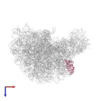 Large ribosomal subunit protein uL30 in PDB entry 1k8a, assembly 1, top view.