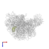 Large ribosomal subunit protein eL31 in PDB entry 1k8a, assembly 1, top view.