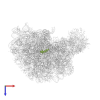 CARBOMYCIN A in PDB entry 1k8a, assembly 1, top view.
