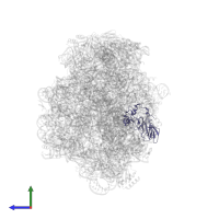 Large ribosomal subunit protein uL2 in PDB entry 1k8a, assembly 1, side view.
