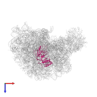Large ribosomal subunit protein uL3 in PDB entry 1k8a, assembly 1, top view.