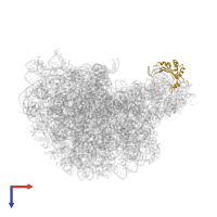 Large ribosomal subunit protein uL5 in PDB entry 1k8a, assembly 1, top view.