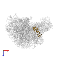 Large ribosomal subunit protein uL6 in PDB entry 1k8a, assembly 1, top view.