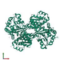 Histidinol dehydrogenase in PDB entry 1kae, assembly 1, front view.