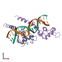 PDB entry 1kb4 coloured by chain, front view.