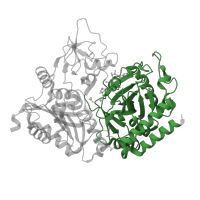 The deposited structure of PDB entry 1khb contains 1 copy of CATH domain 3.90.228.20 (Phosphoenolpyruvate Carboxykinase; domain 3) in Phosphoenolpyruvate carboxykinase, cytosolic [GTP]. Showing 1 copy in chain A.