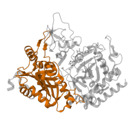 The deposited structure of PDB entry 1khb contains 1 copy of Pfam domain PF17297 (Phosphoenolpyruvate carboxykinase N-terminal domain) in Phosphoenolpyruvate carboxykinase, cytosolic [GTP]. Showing 1 copy in chain A.