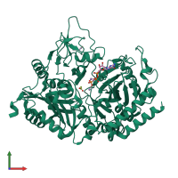PDB entry 1khb coloured by chain, front view.