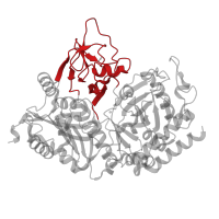 The deposited structure of PDB entry 1khg contains 1 copy of CATH domain 2.170.8.10 (Phosphoenolpyruvate Carboxykinase; domain 2) in Phosphoenolpyruvate carboxykinase, cytosolic [GTP]. Showing 1 copy in chain A.