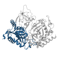 The deposited structure of PDB entry 1khg contains 1 copy of CATH domain 3.40.449.10 (Phosphoenolpyruvate Carboxykinase; domain 1) in Phosphoenolpyruvate carboxykinase, cytosolic [GTP]. Showing 1 copy in chain A.