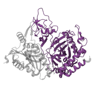 The deposited structure of PDB entry 1khg contains 1 copy of Pfam domain PF00821 (Phosphoenolpyruvate carboxykinase C-terminal P-loop domain) in Phosphoenolpyruvate carboxykinase, cytosolic [GTP]. Showing 1 copy in chain A.