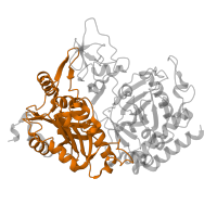 The deposited structure of PDB entry 1khg contains 1 copy of Pfam domain PF17297 (Phosphoenolpyruvate carboxykinase N-terminal domain) in Phosphoenolpyruvate carboxykinase, cytosolic [GTP]. Showing 1 copy in chain A.