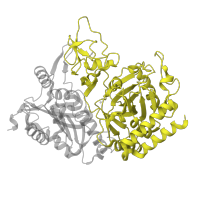 The deposited structure of PDB entry 1khg contains 1 copy of SCOP domain 53796 (PEP carboxykinase C-terminal domain) in Phosphoenolpyruvate carboxykinase, cytosolic [GTP]. Showing 1 copy in chain A.