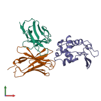 PDB entry 1kip coloured by chain, front view.