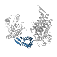 The deposited structure of PDB entry 1kp8 contains 14 copies of CATH domain 3.30.260.10 (GROEL; domain 2) in Chaperonin GroEL. Showing 1 copy in chain A.