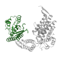 The deposited structure of PDB entry 1kp8 contains 14 copies of CATH domain 3.50.7.10 (GroEL) in Chaperonin GroEL. Showing 1 copy in chain A.