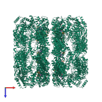 Homo 14-meric assembly 1 of PDB entry 1kp8 coloured by chemically distinct molecules, top view.