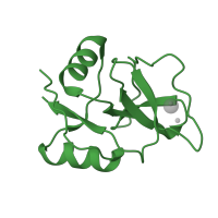 The deposited structure of PDB entry 1kze contains 2 copies of SCOP domain 56437 (C-type lectin domain) in Mannose-binding protein C. Showing 1 copy in chain B [auth 2].