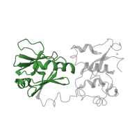 The deposited structure of PDB entry 1l2b contains 1 copy of Pfam domain PF01149 (Formamidopyrimidine-DNA glycosylase N-terminal domain) in Formamidopyrimidine-DNA glycosylase. Showing 1 copy in chain D [auth A].