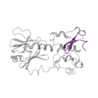 The deposited structure of PDB entry 1l2b contains 1 copy of Pfam domain PF06827 (Zinc finger found in FPG and IleRS) in Formamidopyrimidine-DNA glycosylase. Showing 1 copy in chain D [auth A].