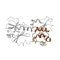 The deposited structure of PDB entry 1l2b contains 1 copy of SCOP domain 81626 (Middle domain of MutM-like DNA repair proteins) in Formamidopyrimidine-DNA glycosylase. Showing 1 copy in chain D [auth A].