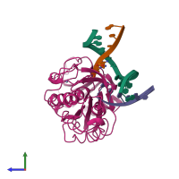 PDB entry 1l2b coloured by chain, side view.