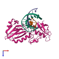 PDB entry 1l2b coloured by chain, top view.