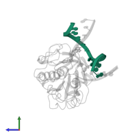 5'-D(*AP*GP*GP*TP*AP*GP*AP*CP*CP*TP*GP*GP*AP*CP*GP*C)-3' in PDB entry 1l2b, assembly 1, side view.