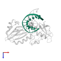 5'-D(*AP*GP*GP*TP*AP*GP*AP*CP*CP*TP*GP*GP*AP*CP*GP*C)-3' in PDB entry 1l2b, assembly 1, top view.